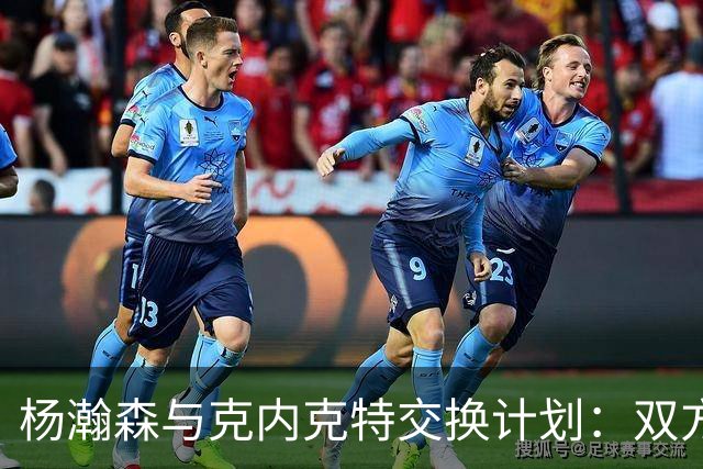 杨瀚森与克内克特交换计划：双方皆可盈利的新局面